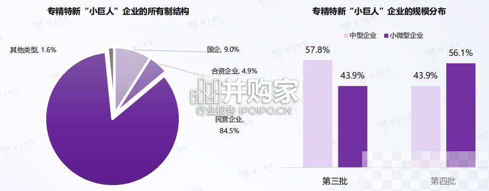 中国专精特新企业高质量发展报告（30页）